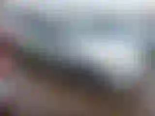 Vehicle Image- 2008 Honda Accord