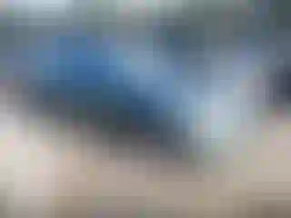 Vehicle Image- 2008 Honda Accord