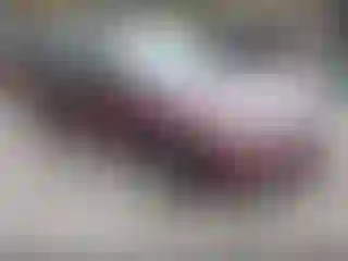 Vehicle Image- 2009 Honda Accord