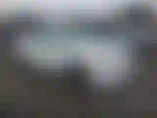 Vehicle Image- 2009 Honda Accord