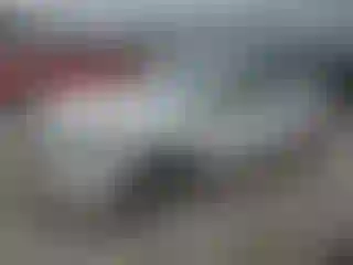 Vehicle Image- 2008 Honda Accord