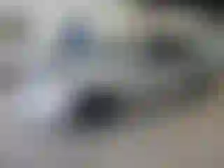 Vehicle Image- 2009 Honda Accord