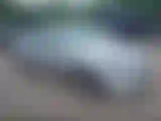 Vehicle Image- 2009 Honda Accord
