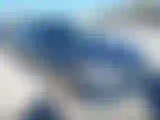 Vehicle Image- 2009 Honda Accord