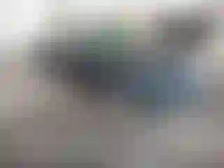 Vehicle Image- 2010 Honda Accord