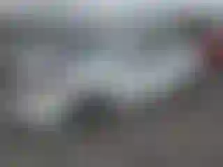 Vehicle Image- 2010 Honda Accord