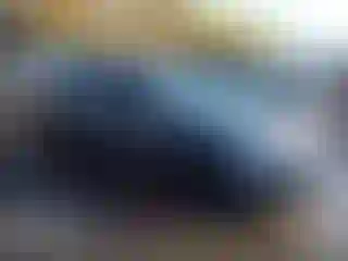 Vehicle Image- 2011 Honda Accord