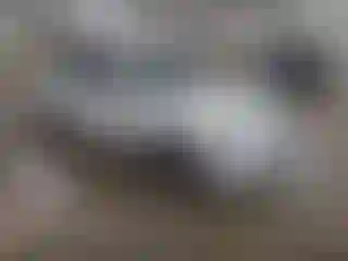 Vehicle Image- 2010 Honda Accord