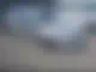 Vehicle Image- 2011 Honda Accord