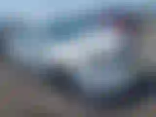 Vehicle Image- 2012 Honda Accord