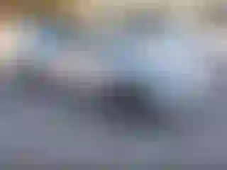 Vehicle Image- 2011 Honda Accord