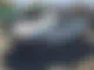 Vehicle Image- 2012 Honda Accord