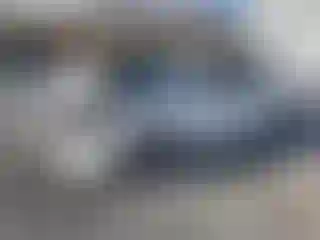 Vehicle Image- 2010 Honda Accord