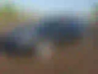 Vehicle Image- 2012 Honda Accord