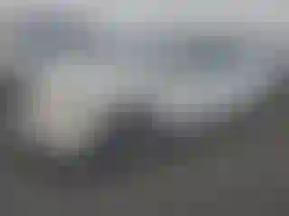 Vehicle Image- 2010 Honda Accord