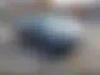 Vehicle Image- 2011 Honda Accord