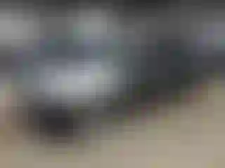Vehicle Image- 2009 Honda Accord