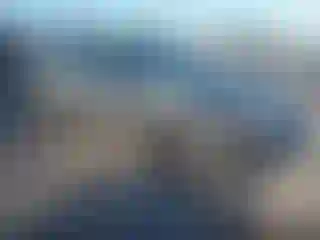 Vehicle Image- 2009 Honda Accord