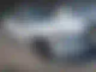 Vehicle Image- 2008 Honda Accord