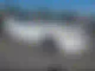 Vehicle Image- 2012 Honda Accord