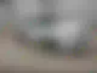 Vehicle Image- 2010 Honda Accord