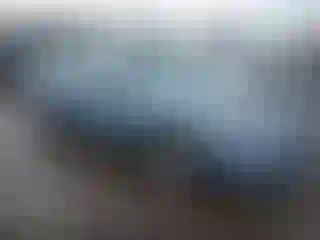 Vehicle Image- 2011 Honda Accord