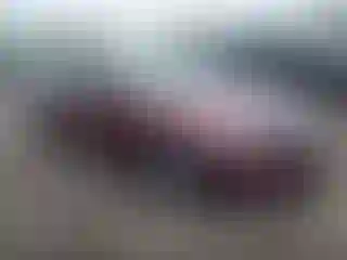 Vehicle Image- 2012 Honda Accord