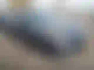 Vehicle Image- 2017 Honda Accord