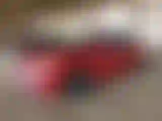 Vehicle Image- 2017 Honda Accord