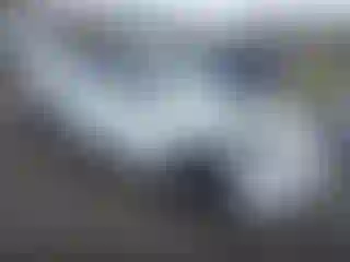 Vehicle Image- 2017 Honda Accord
