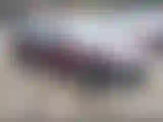 Vehicle Image- 2013 Honda Accord