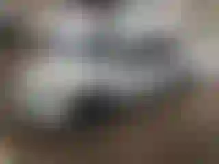 Vehicle Image- 2013 Honda Accord