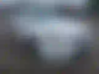 Vehicle Image- 2013 Honda Accord