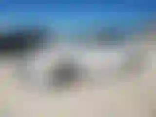 Vehicle Image- 2014 Honda Accord