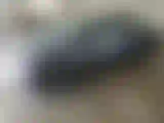 Vehicle Image- 2016 Honda Accord