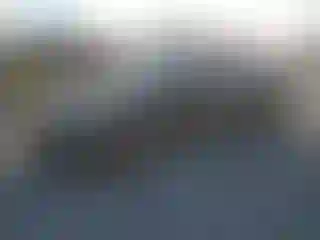 Vehicle Image- 2016 Honda Accord