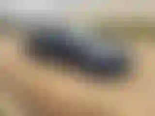 Vehicle Image- 2017 Honda Accord