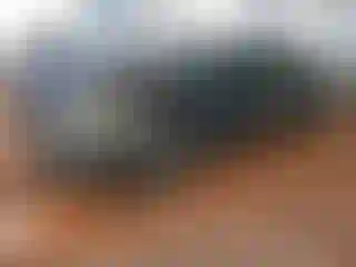 Vehicle Image- 2014 Honda Accord