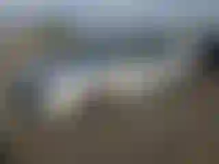 Vehicle Image- 2014 Honda Accord