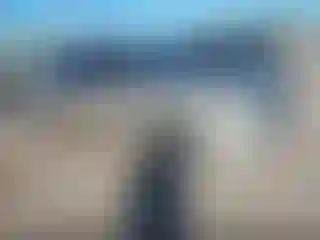 Vehicle Image- 2015 Honda Accord