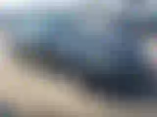Vehicle Image- 2013 Honda Accord