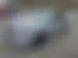 Vehicle Image- 2014 Honda Accord