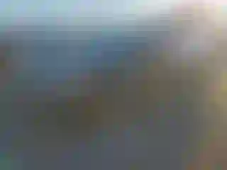 Vehicle Image- 2017 Honda Accord