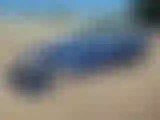 Vehicle Image- 2015 Honda Accord