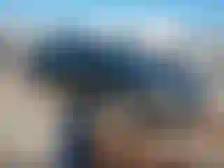 Vehicle Image- 2013 Honda Accord