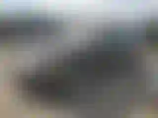 Vehicle Image- 2015 Honda Accord