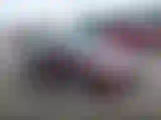 Vehicle Image- 2014 Honda Accord