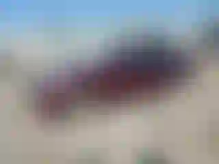 Vehicle Image- 2014 Honda Accord