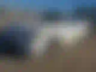 Vehicle Image- 2014 Honda Accord