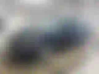 Vehicle Image- 2015 Honda Accord